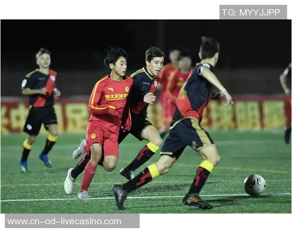 秦皇岛足球崛起之路探秘：从青训到职业联赛的全景回顾与展望